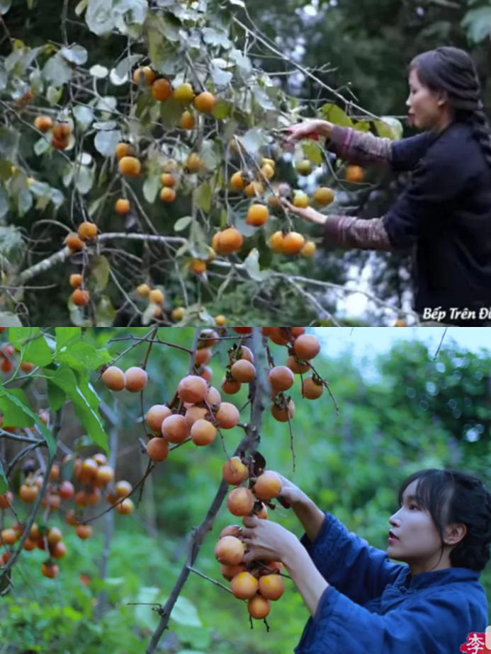 李子柒被越南妹抄袭？连奶奶都一模一样：不收yb亚博全站首页的版权费吗