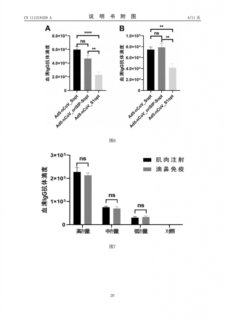国内首个新冠疫苗专利获批，陈薇院士功不可没
